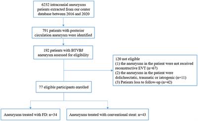 Reconstructive Endovascular Treatment of Basilar Trunk and Vertebrobasilar Junction Aneurysms: A Review of 77 Consecutive Cases